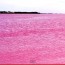 Extraño lago rosado en Australia.