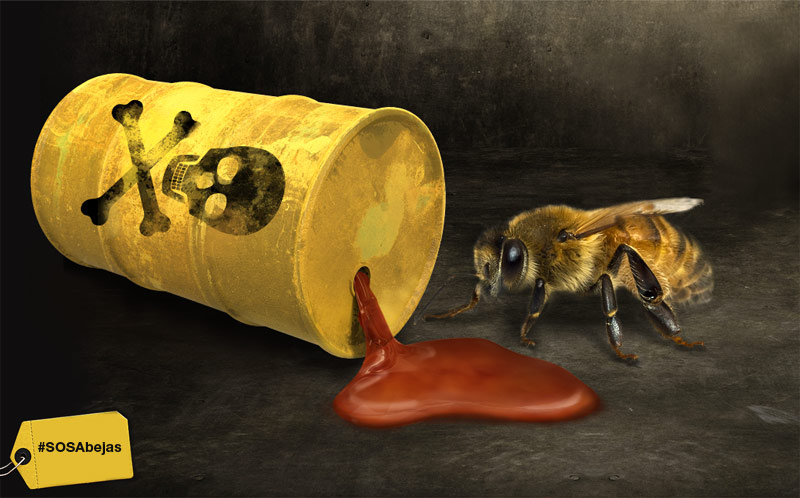 abejas-intoxicadas