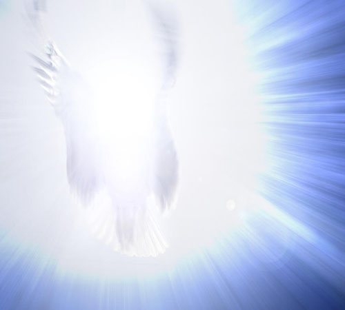 angel-light