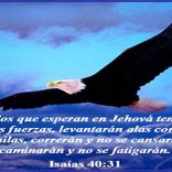 Isaías 40 Isaías 40
