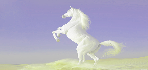 caballo blanco 10