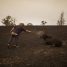 Los incendios no ceden en Australia, Aporte Hna. María Elena Los incendios no ceden en Australia, Aporte Hna. María Elena