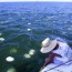 Millones de medusas invaden los reactores nucleares en Japón e Israel