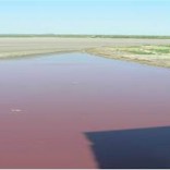 Lago en Texas se torna rojo sangriento: ¿Una señal más del fin del mundo?: Hno. Danilo