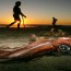 Invasión de calamares gigantes en California