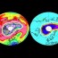 Un agujero gigantesco se abre en la capa de ozono del ártico,Hno.Danilo.