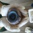 Misterioso ojo gigante encontrado en una playa de La Florida