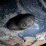 Agencia Espacial Federal de Rusia, planea enviar una misión al asteroide Apophis, que puede colisionar con la Tierra en el 2036.
