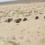 El mar Aral se seca …