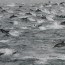 Más de 100.000 delfines en las costas de San Diego,Aporte hermana María Elena