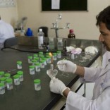 “La tuberculosis más resistente asusta a la OMS”, Hno. Cayetano