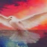 Testimonio “,Hno.Jaime Juan