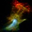 La NASA captura una impresionante imagen bautizada como la ‘Mano de Dios’,Aporte de Hna. Migdalia