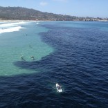 Marea de anchovetas en San Diego, California Marea de anchovetas en San Diego, California