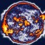 Tormenta solar a la vista: La Tierra debe prepararse para un golpe “inminente”