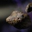 Desmentido de la NASA: Proyecto AIDA, noticias sobre  asteroides.