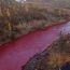 Los ríos se vuelven rojos a medida que se cumplen las profecías bíblicas del Fin de los Tiempos [Hna. Maria Elena]
