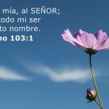 Bendice, alma mía, a Jehová. Y bendiga todo mi ser su santo nombre. Bendice, alma mía, a Jehová. Y bendiga todo mi ser su santo nombre.
